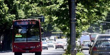 Un hombre acosó sexualmente a una nena de 14 años y a dos mujeres que quisieron defenderla. Ocurrió a bordo de un colectivo de La Plata.