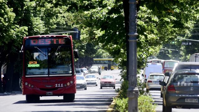 Un hombre acosó sexualmente a una nena de 14 años y a dos mujeres que quisieron defenderla. Ocurrió a bordo de un colectivo de La Plata.