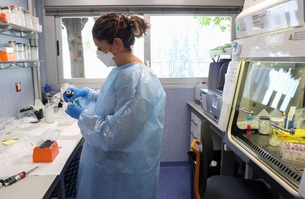 Viruela del mono en Argentina: de los 133 casos confirmados, el 71% es “autóctono”