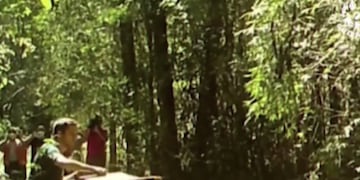 Desde el refugio “Güirá Oga” intentan concientizar sobre preservación de animales silvestres en la provincia.