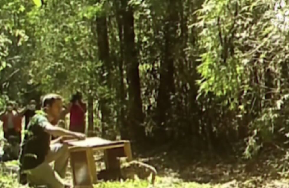 Desde el refugio “Güirá Oga” intentan concientizar sobre preservación de animales silvestres en la provincia