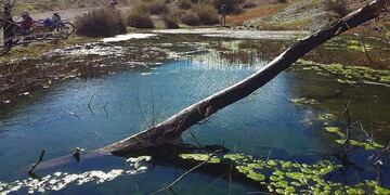 La Laguna de los Cangrejos resaltan la flora y la fauna autóctona que puebla los alrededores. Fue destruida este fin de semana.