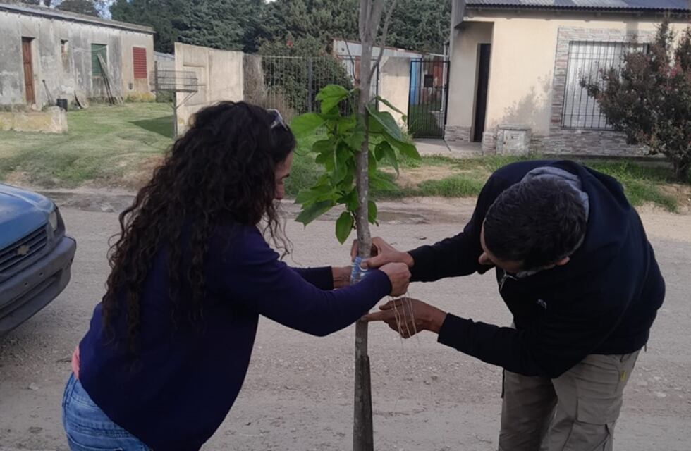 La Municipalidad de Gonzales Chaves se suma al Programa de Apoyo a la Gestión Sostenible de Bosques Urbanos