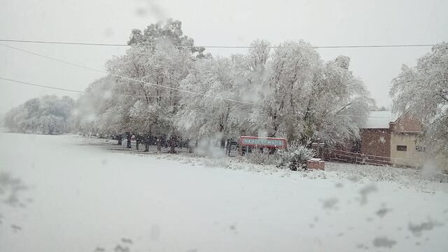 Sur de San Luis, totalmente bajo nieve.