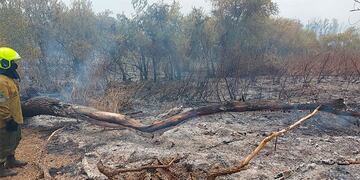 La lluvia erminó de apagar el incendio de la Isla Puente.