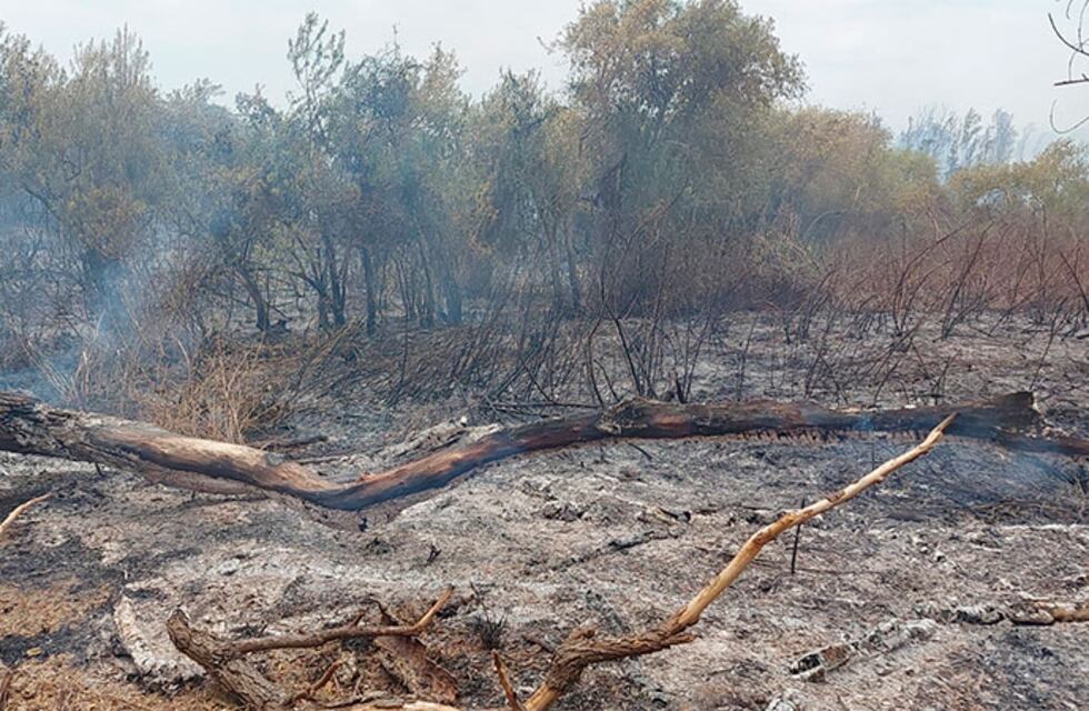 Las lluvias del domingo y lunes llevaron alivio y apagaron el incendio de la Isla Puente