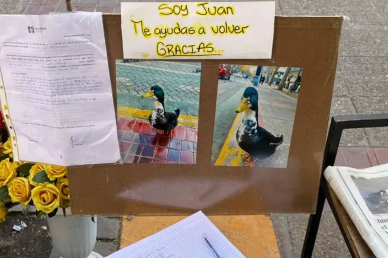Denunciaron y desalojaron al "Pato Juan" en Mendoza: vecinos juntan firmas para que vuelva al centro