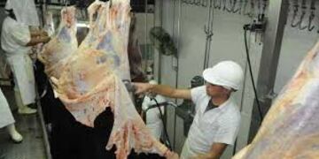 Exportacion cuero vacuno