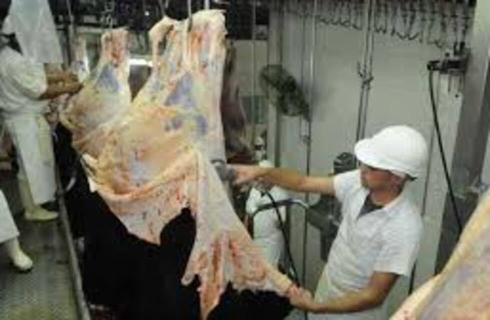 Nuevas medidas del gobierno respecto a la exportación de cueros vacunos