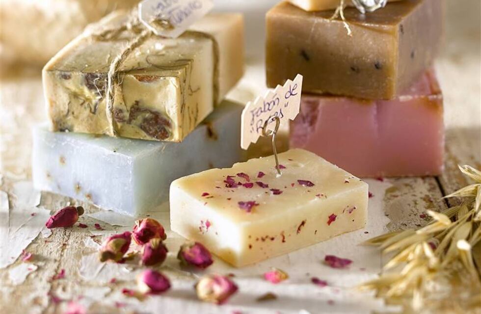 Entregaron aportes para emprendimientos de Economía Social de Ibicuy y Ceibas