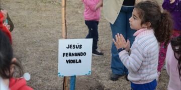 Plantaron un arbol recordando a Fernando Videla