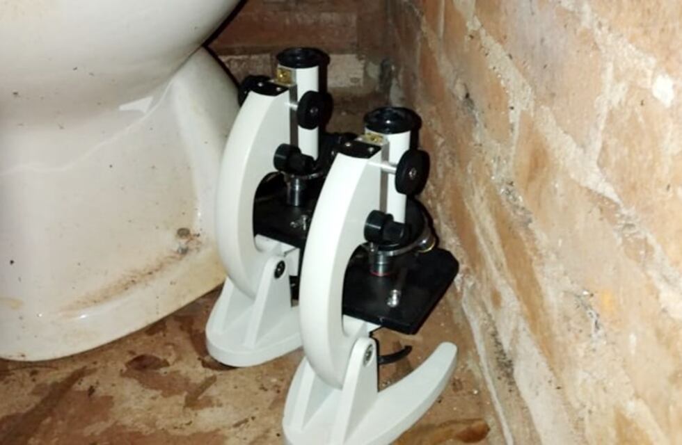 Robo en la Escuela Provincial N°407: los objetos fueron hallados en un monte y un quincho