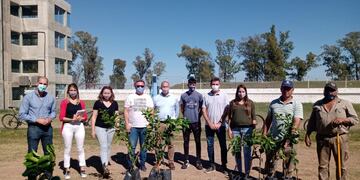 Plantaron 100 árboles en 8 clubes de la ciudad