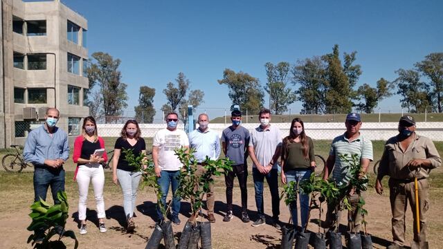 Plantaron 100 árboles en 8 clubes de la ciudad