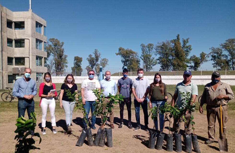 Plantaron 100 árboles nativos en 8 clubes de Rafaela