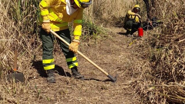 El personal especializado se desplegó.
