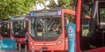 Mendoza incorporó 20 nuevos colectivos sustentables que contaminan un 50% menos que los eléctricos.