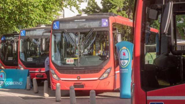 Mendoza incorporó 20 nuevos colectivos sustentables que contaminan un 50% menos que los eléctricos.