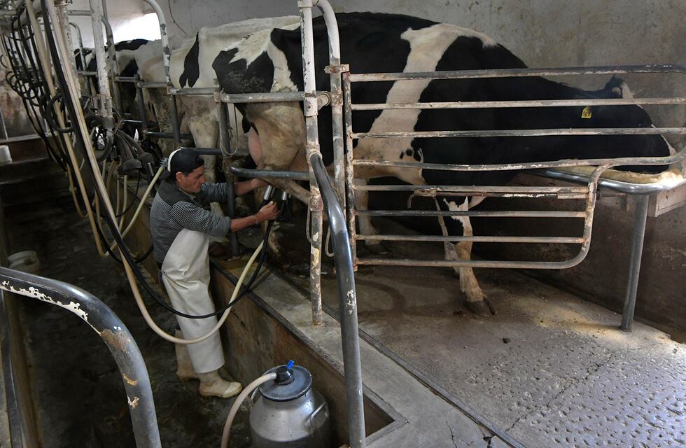 Relaciones Insumo Producto en el Sector Lechero