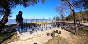 Plantan y recuperan especies nativas en Paso Vera