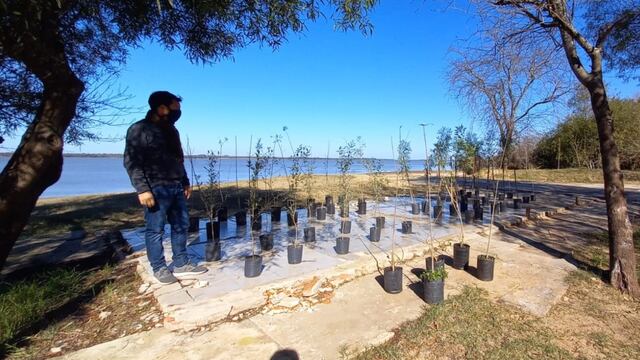 Plantan y recuperan especies nativas en Paso Vera