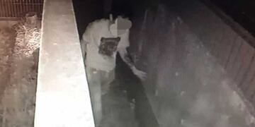 Quedó registrando cuando intentaba robar una vivienda en Posadas.