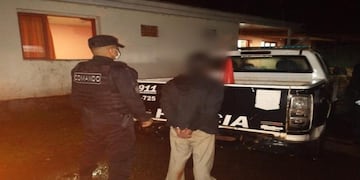 Una veintena de detenidos fue el saldo de los operativos de seguridad en la zona Norte.