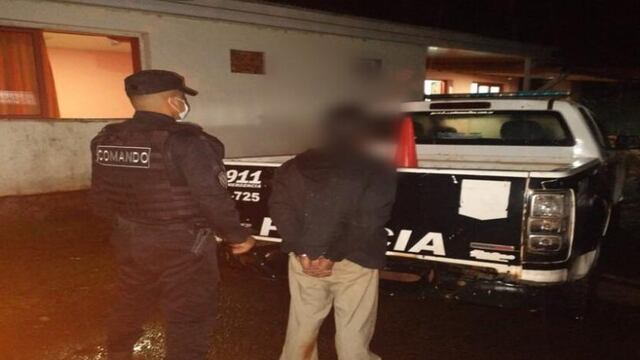 Una veintena de detenidos fue el saldo de los operativos de seguridad en la zona Norte.