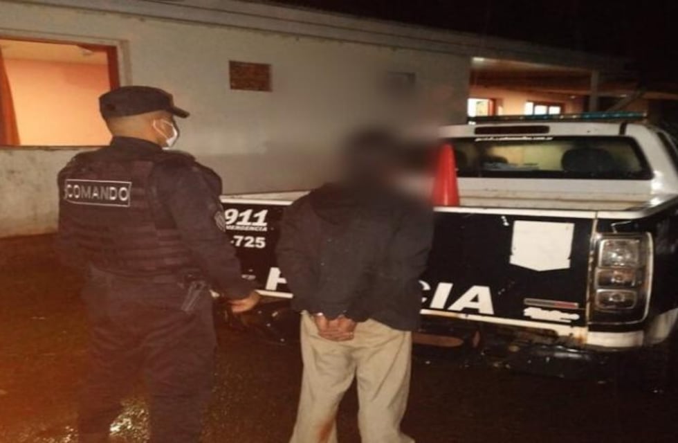 Una veintena de detenidos fue el saldo de los operativos de seguridad en la zona Norte