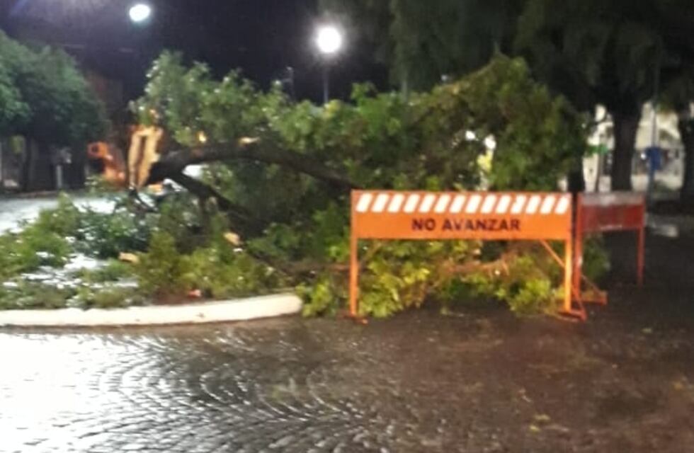 Una fuerte tormenta con vientos de hasta 90 km/h que tumbó 50 árboles y ramas afectó a Rafaela