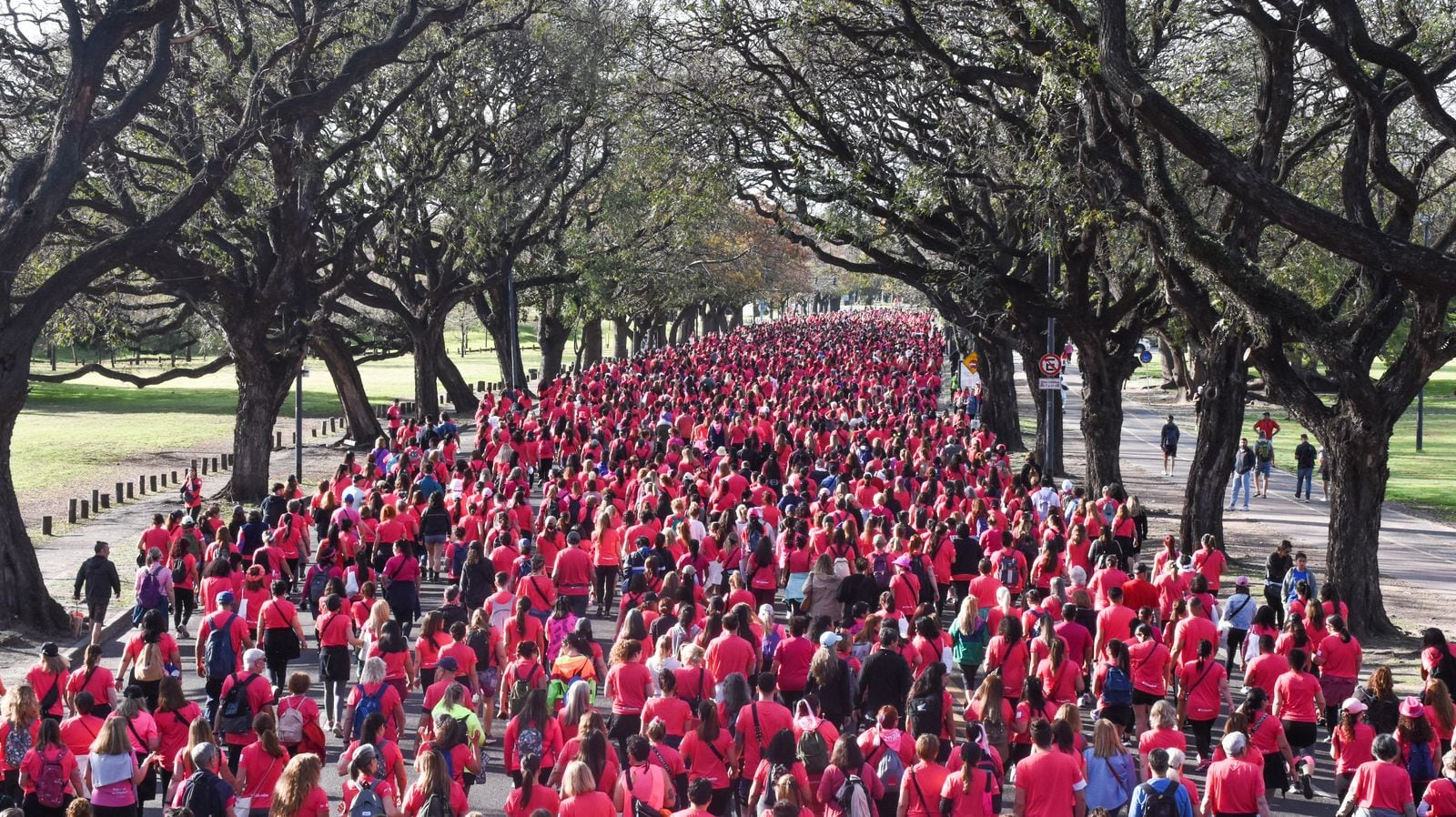 Cómo inscribirse a la caminata por la lucha contra el cáncer de mama