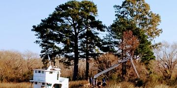 Vuelos de la muerte - Delta entrerriano