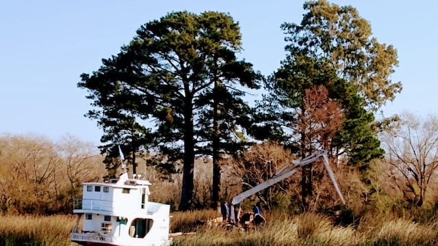 Vuelos de la muerte - Delta entrerriano