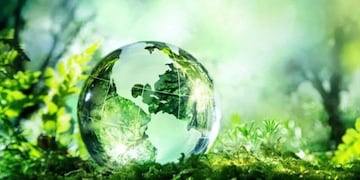 Este 5 de junio se conmemora el Día Mundial del Medio Ambiente.