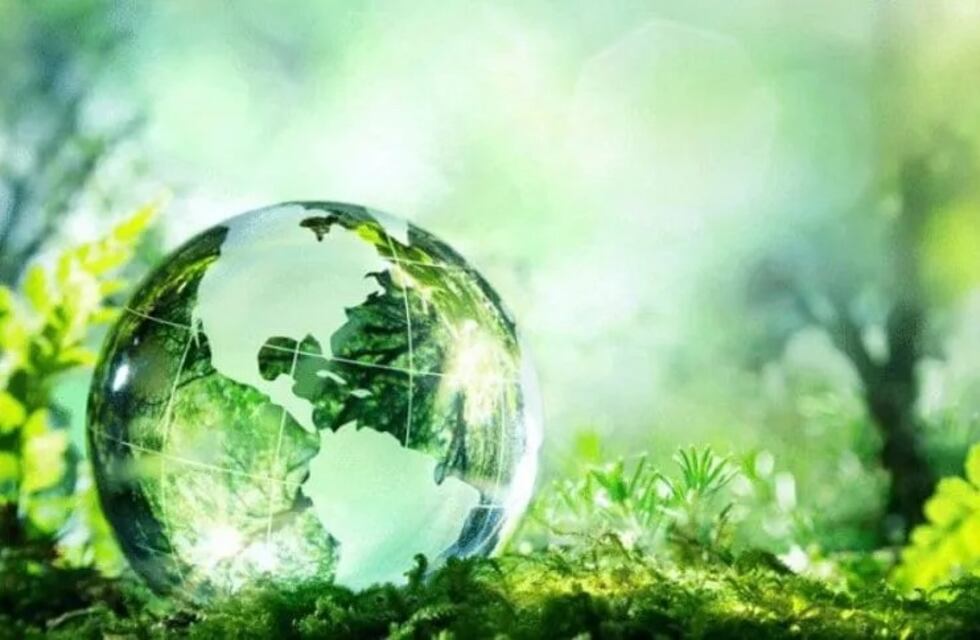 Tres Arroyos: Actividades gratuitas en conmemoración al Día del Ambiente