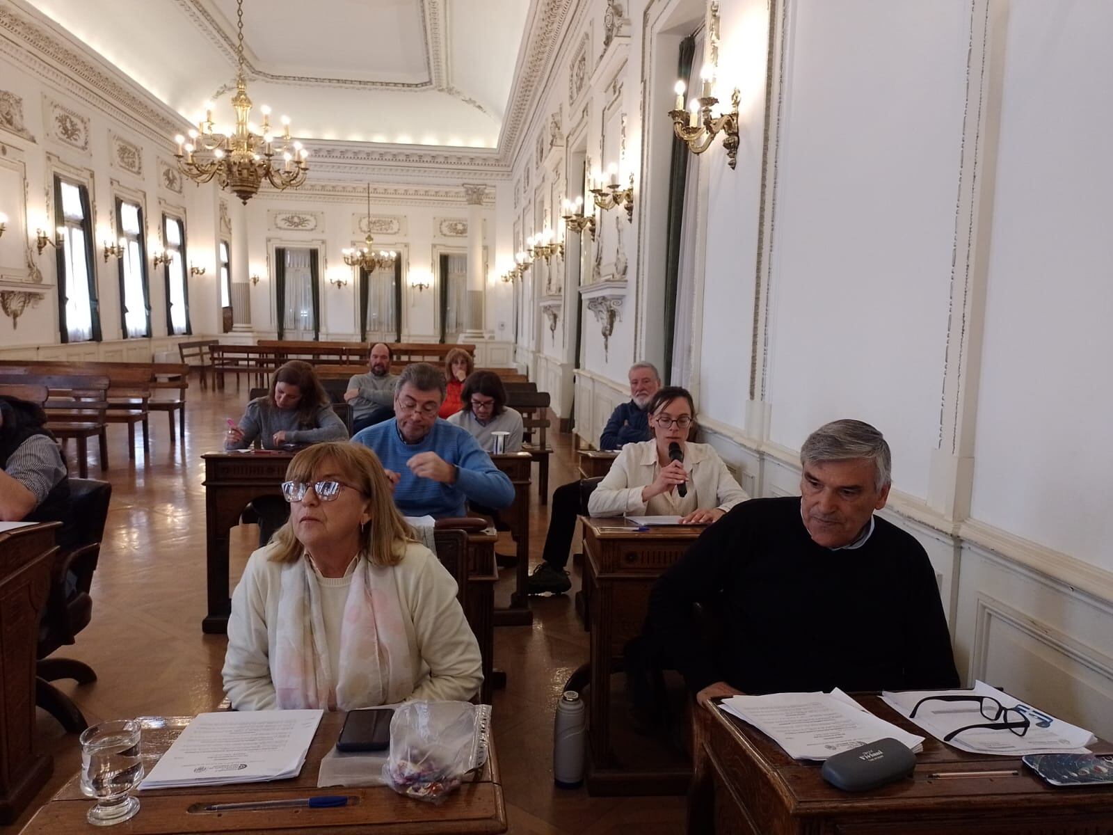 Concejo Deliberante de Tres Arroyos: resumen de la 12va Sesión Ordinaria