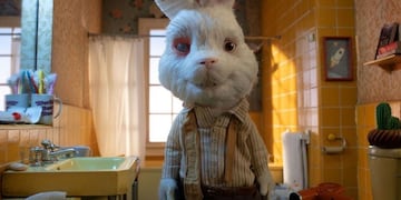 El conejo "Ralph" del video que se volvió viral. (Gentileza)