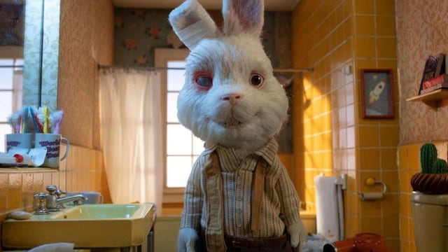 El conejo "Ralph" del video que se volvió viral. (Gentileza)