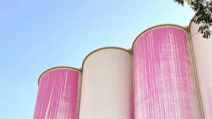 El museo Macro de Rosario decidió anular la obra pintura exterior de los silos Davis que había elegido por un concurso público nacional.