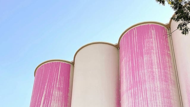 El museo Macro de Rosario decidió anular la obra pintura exterior de los silos Davis que había elegido por un concurso público nacional.