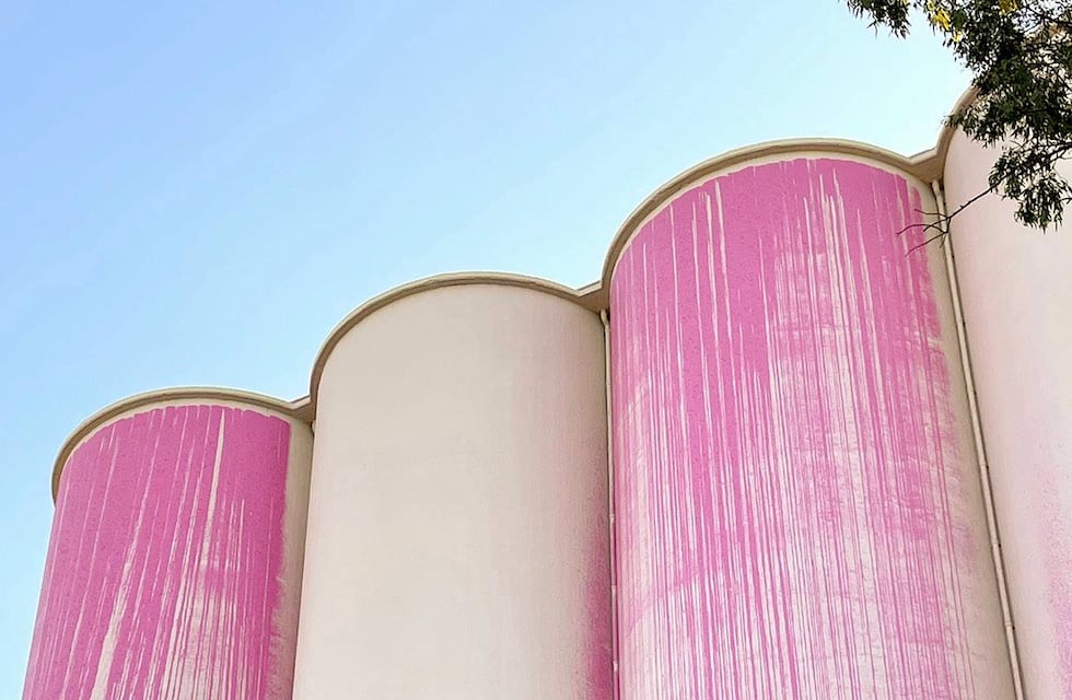 Los silos Davis despiertan la interna oficialista en Rosario: “Vos eras muy chiquita”