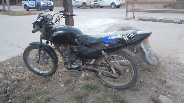 Murió una mujer de 42 años tras impactar su moto con un perro.