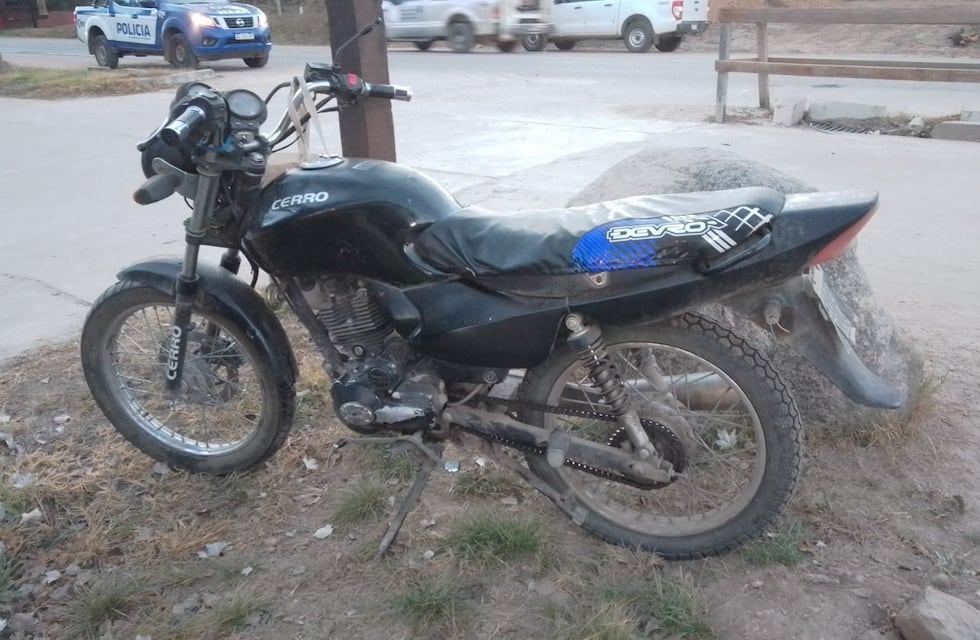 Murió una candidata de Juntos por el Cambio tras chocar contra un perro en Córdoba