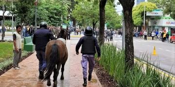 Manifestantes habrían intentado entrar a la Casa de Gobierno de Chaco a caballo.