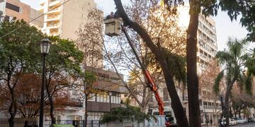 El operativo comenzó el sábado para prevenir accidentes sobre Bulevar Oroño y otras calles.