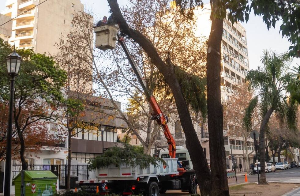 Luego de la tormenta en Rosario, sacaron 41 árboles con riesgo de caída