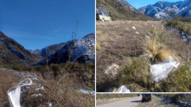 Desde la reserva natural compartieron esta foto sobre la necesidad de cuidar el lugar y tirar los desechos en los lugares correspondientes.