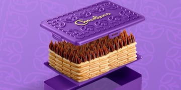 Así es el tupper para hacer la chocotorta.