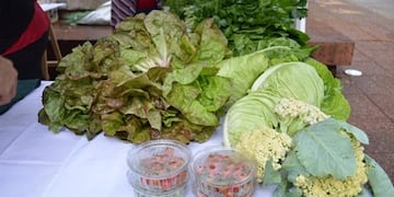 Realizarán en Iguazú la Gran Feria de Productos Agroecológicos.