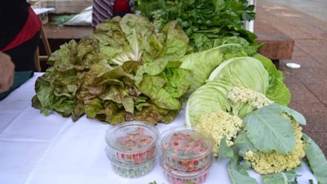 Realizarán en Iguazú la Gran Feria de Productos Agroecológicos.
